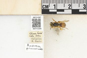 Media type: image;   Entomology 771594 Aspect: Labels